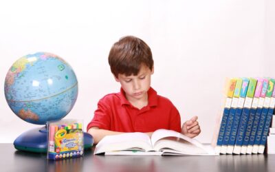 ZA UČENKE IN UČENCE: Nekaj idej, ki vam lahko pomagajo pri učenju na daljavo