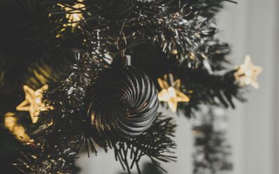 Zadnje letošnje novičke