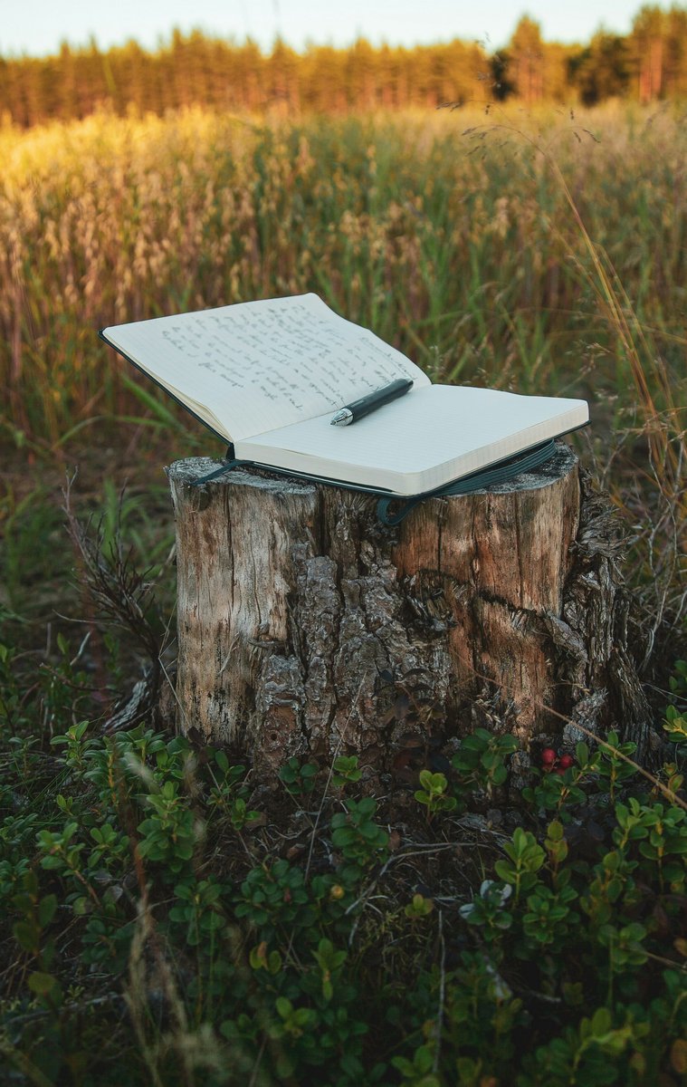 Kontakt - White Notebook on a Log by Nicolas-Messifet-qBJQiKESR9c-Unsplash