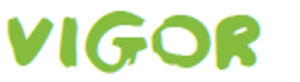 Vigor logo